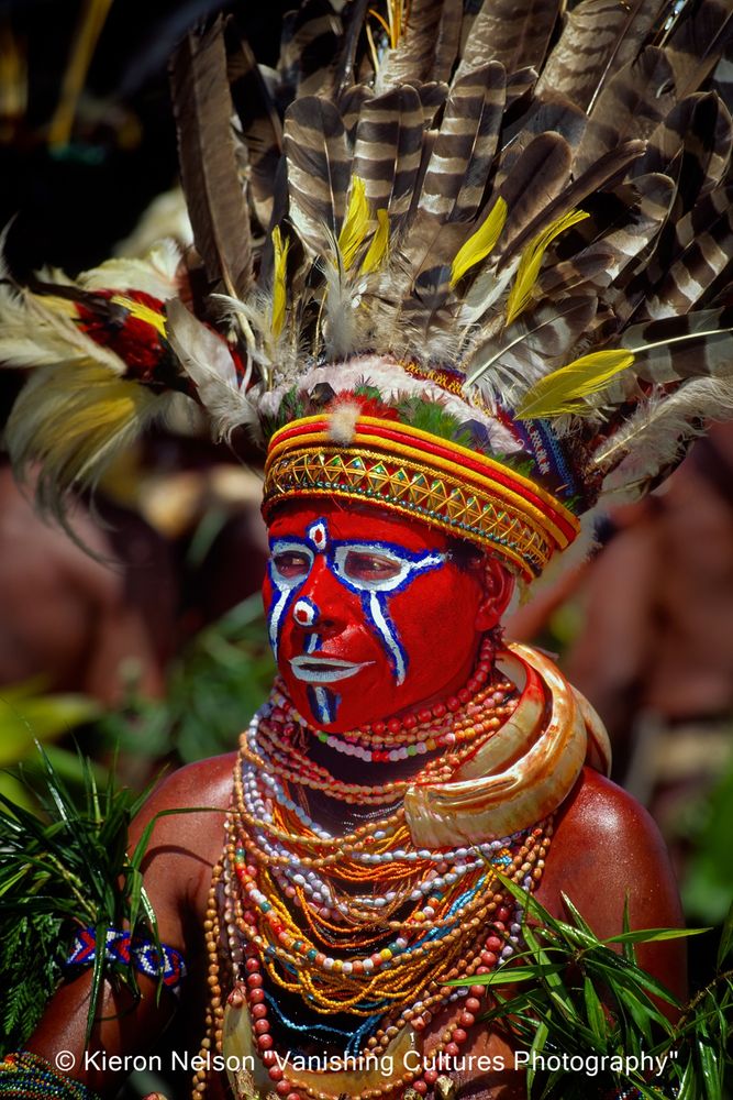 Feathers, typically from birds of paradise or parrots, are meticulously crafted into headdresses, sometimes layered over bilum hats made from woven plant fibers. These elements, combined with seashell necklaces and leaf skirts, reflect deep cultural traditions and are worn during dances and performances to express tribal identity and pride.

