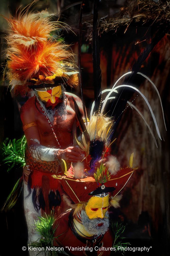 Huli men and women use natural pigments like red ochre, yellow clay (ambua), and white lime to paint their faces and bodies. These designs signify clan affiliation, social status, and readiness for ceremonies or combat. Red ochre represents connection to the earth, while yellow signifies status. Men and women live in separate spheres, with men often residing in communal "men’s houses" and women living with children and pigs in smaller family units. This separation extends to daily activities and responsibilities.



