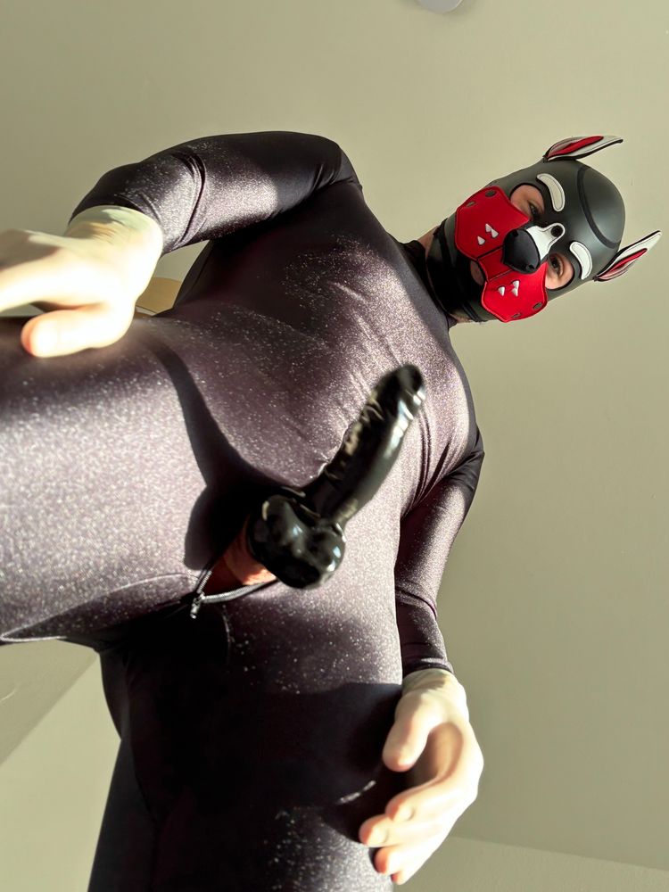Man in a black spandex full body suit and with a red, black and white neoprene dog mask, wearing beige single use surgery gloves and a black latex cock sheath.