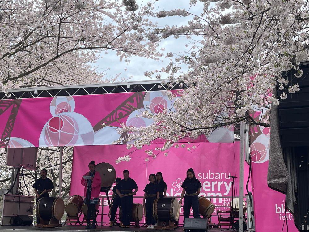 Stage for Subaru Cherry Blossom Festival. Six members of Casual Fifth are on stage with the emcee.
