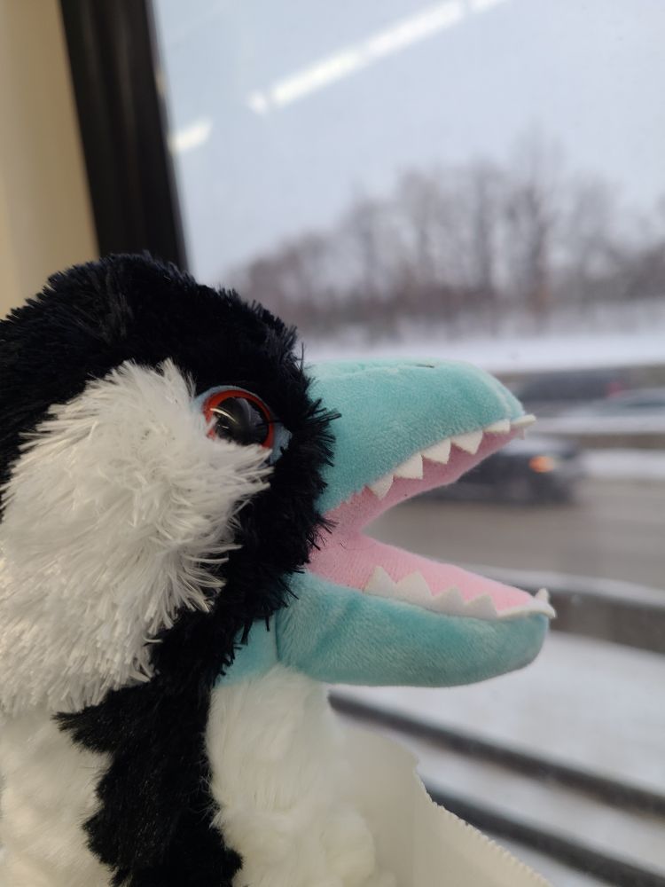 The plush dino bird looking out the subway window at the snowy streets below.

I named them Ally.