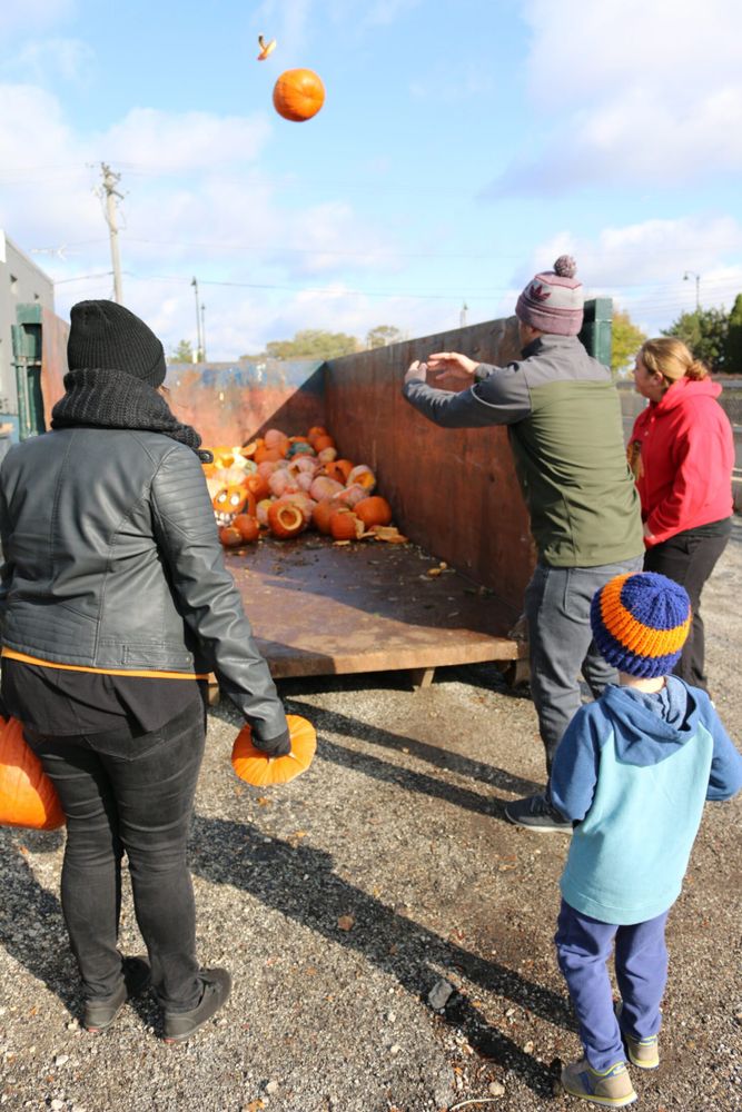 a man throwing a pumpkin into a composting bin with others looking on