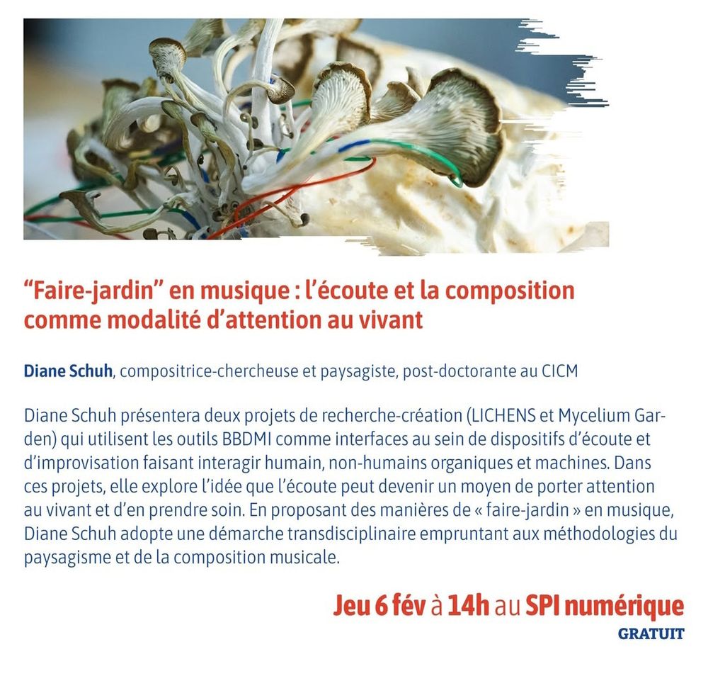 Affiche de la communication de Diane Schuh : "Faire-jardin" en musique : l'écoute et la composition comme modalité d'attention au vivant.
Le 6 février au SPI numérique de Saint-Nazaire 
