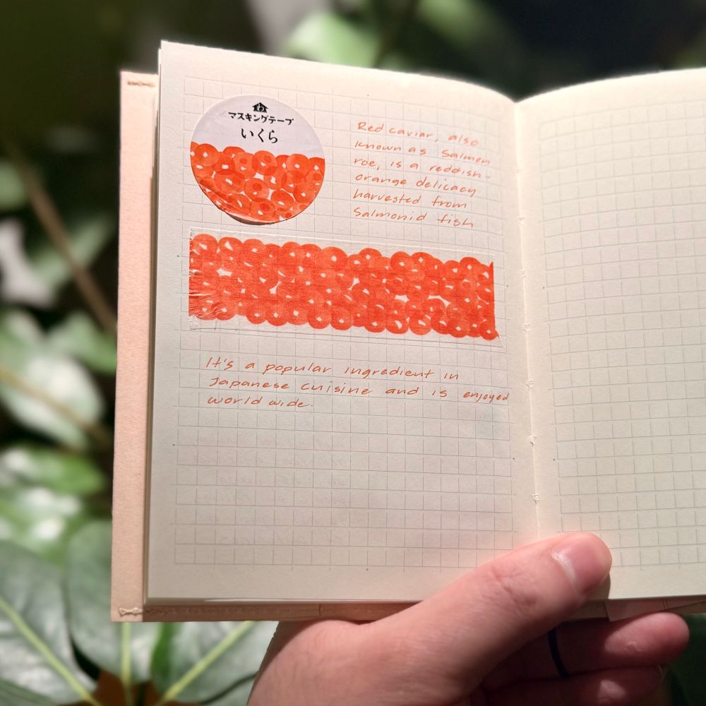 A person holds an open notebook with a grid-patterned page, featuring a washi tape sample decorated with an illustration of salmon roe (ikura). A circular label with Japanese text accompanies the tape. Handwritten notes in red ink explain that “Red caviar, also known as salmon roe, is a reddish-orange delicacy harvested from salmonid fish” and that it is “a popular ingredient in Japanese cuisine and is enjoyed worldwide.” The background consists of blurred green leaves, suggesting an outdoor or natural setting.