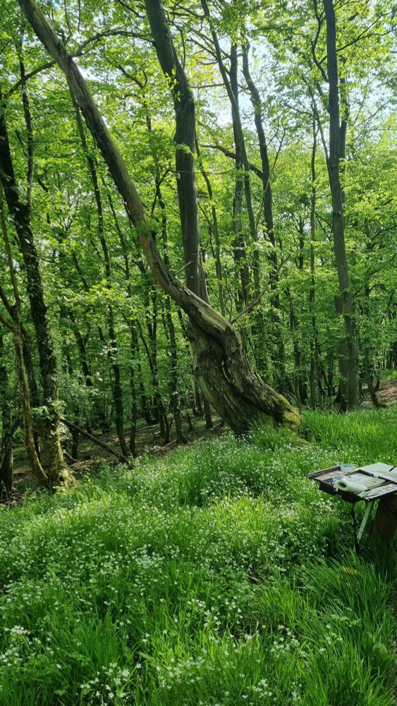 The 2 intertwined trees and the surrounding forest