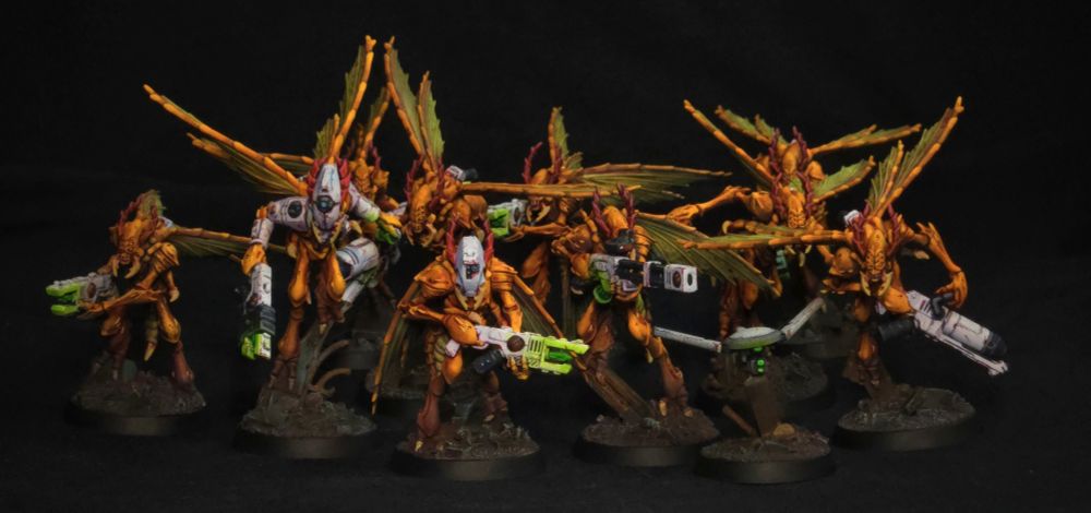 A team-wide shot of my painted Vespid Stingwings