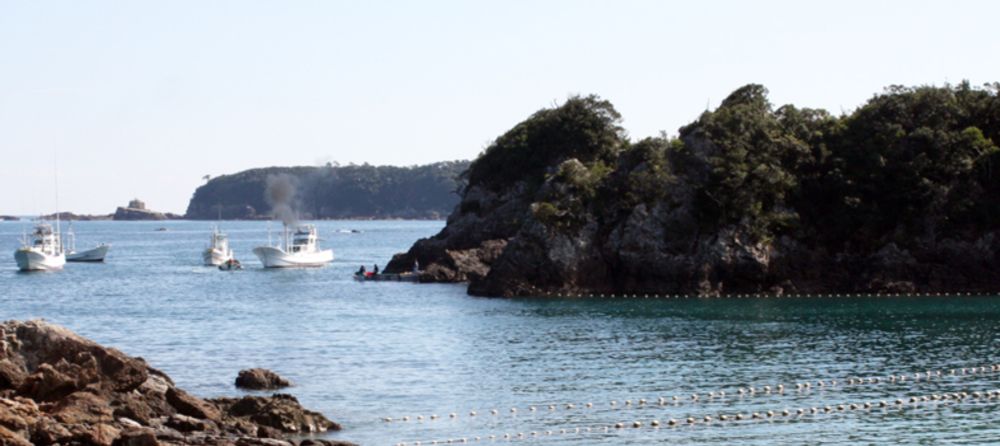 Taiji, Japan “The Cove” | Dolphin Project