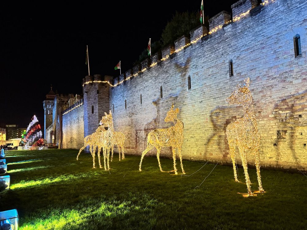 Christmas reindeers lit up outside Cardiff Castle at night. 