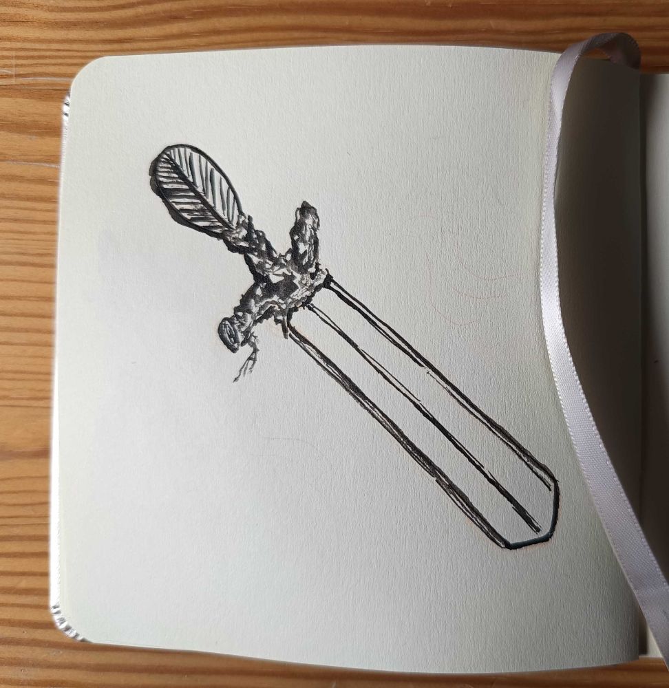 Photo of a drawing of a sword with a chisel-shaped blade and a branch hilt