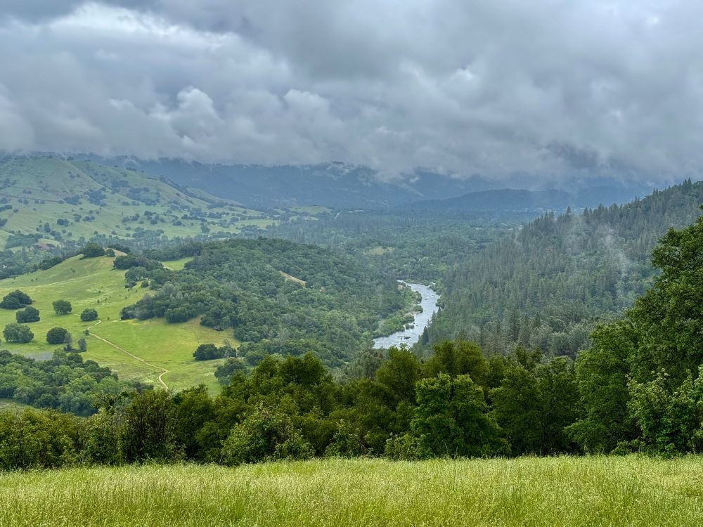River and forest in the distance 