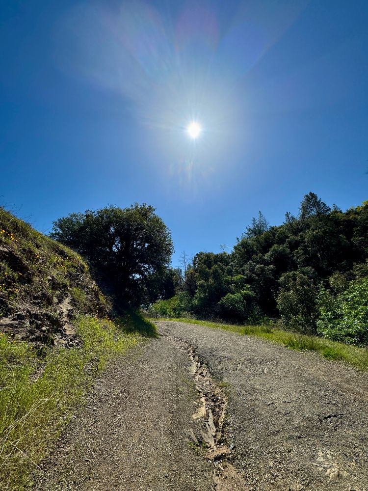 Sunshine over the hiking trail