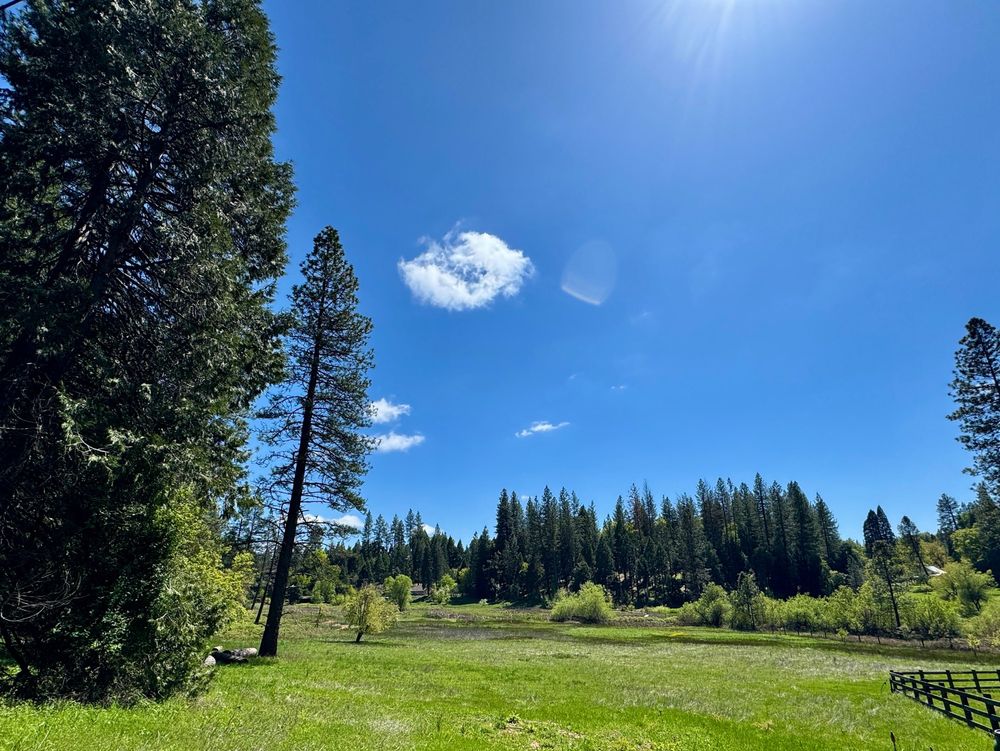 Sunny day over the green meadow and blue skies 