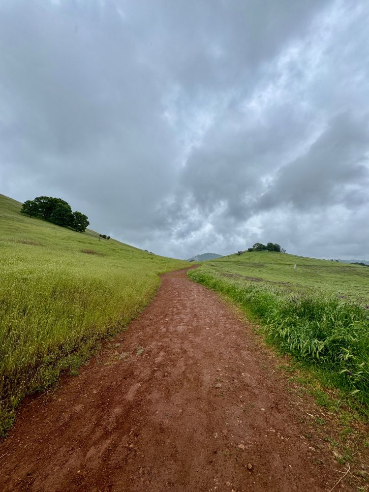 Trail under moody skies 