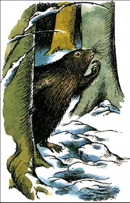 Illustration from CS Lewis' book The Lion The Witch And The Wardrobe, a beaver behind a tree beckoning to the children to follow him