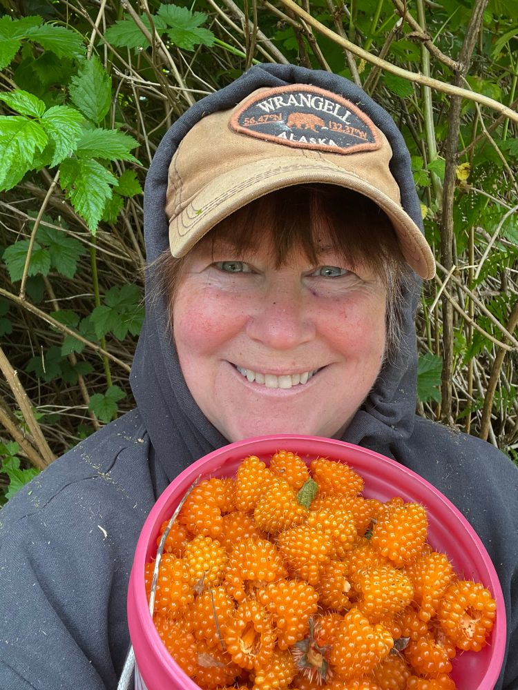 Bug bitten & leaf strewn author smiles holding up a bucketful of orange salmonberries. Author is dressed in hoodie and ballcap. Salmonberry bushes in the background. 