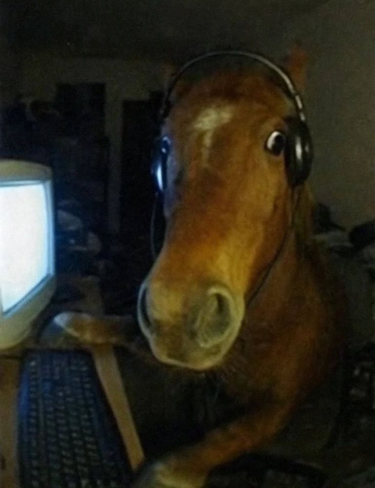 Horse with headphones on at a computer