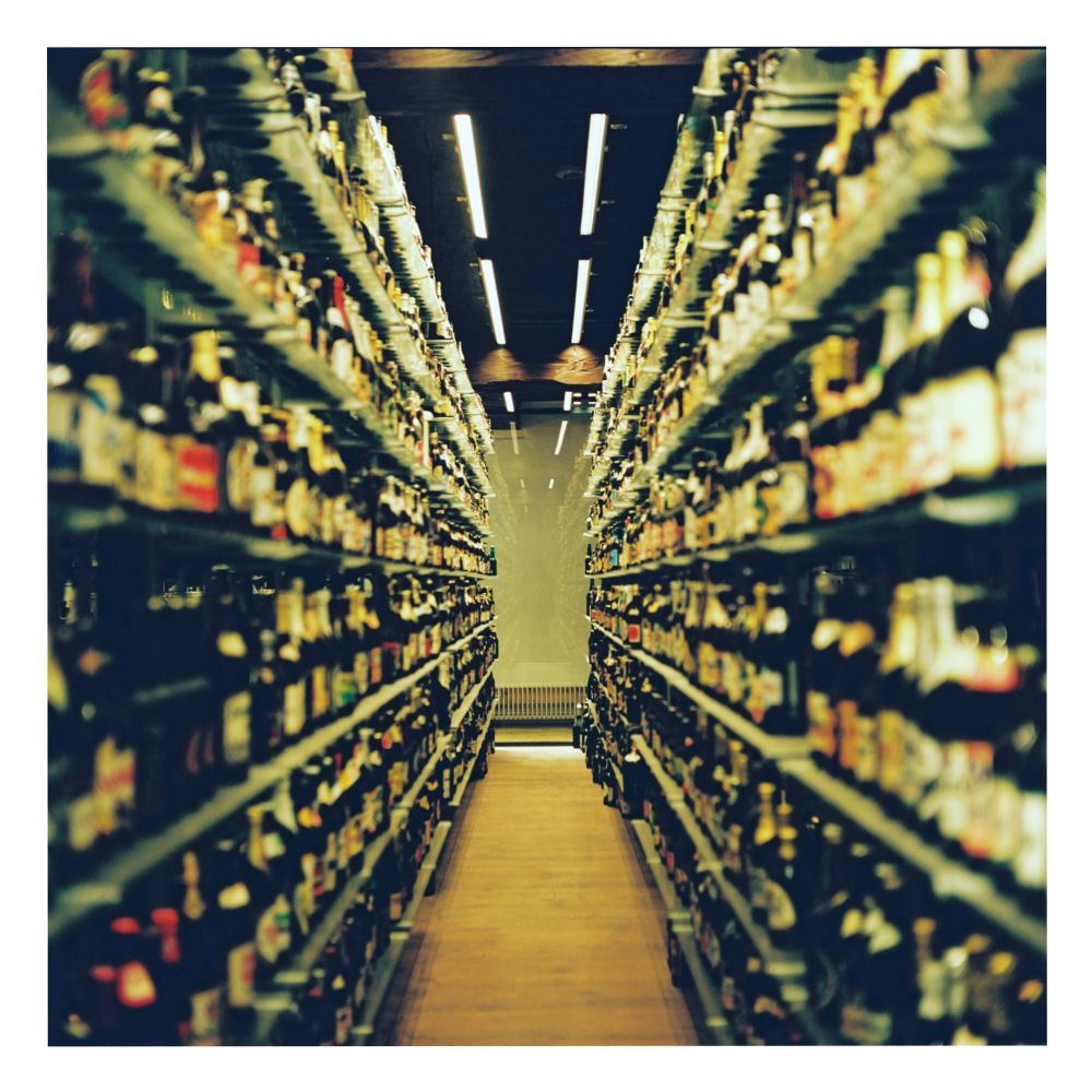 Carlsberg Museum, Copenhagen

Yashica Mat 124
Kodak Portra 800