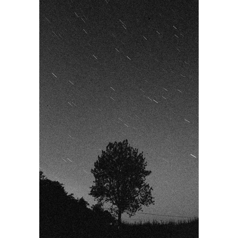 Star trails on a black and white photograph in with a tree in the foreground. 

Nikon F5, 35mm 2.8
Ilford HP5