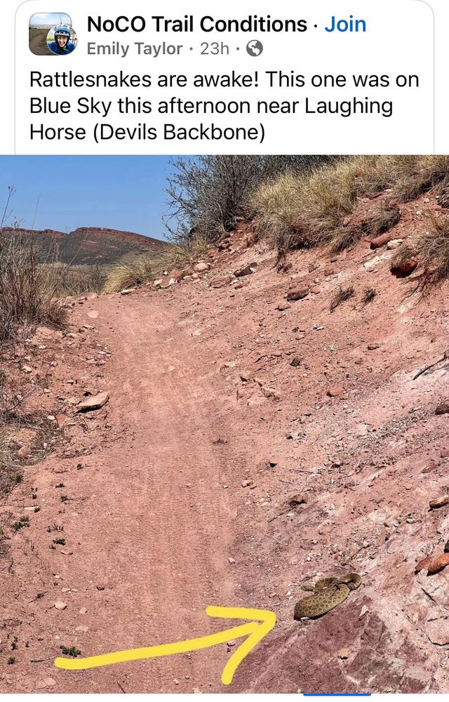 A dirt trail in Larimer County, CO showing a Rattlesnake just off the trail