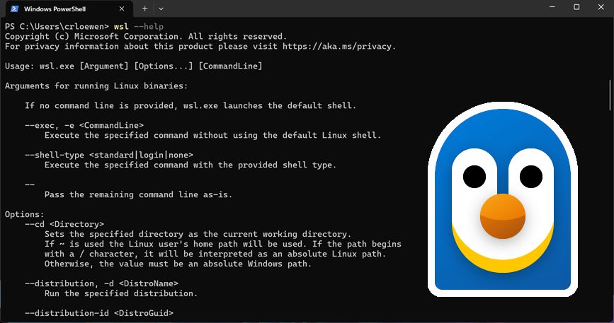 Preview of the feature in Windows PowerShell.