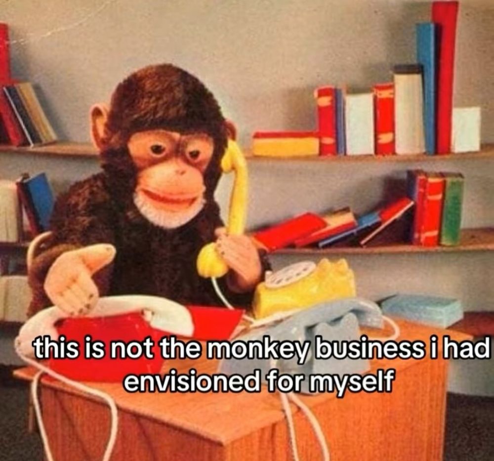 An internet meme with a cuddly monkey at a desk with 3 phones and the caption “this is not the monkey business i had envisioned for myself” 