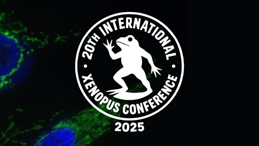 Logo of the 20th International Xenopus Conference.