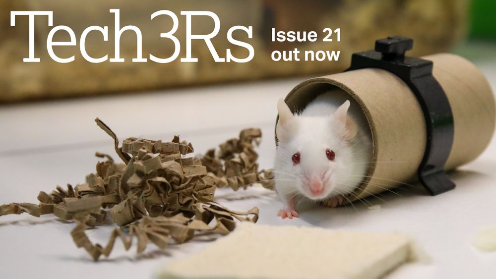 The latest issue of Tech3Rs is out now. Image shows a white mouse emerging from carboard tube, with shredding cardboard and a soft looking pad of materials nearby.