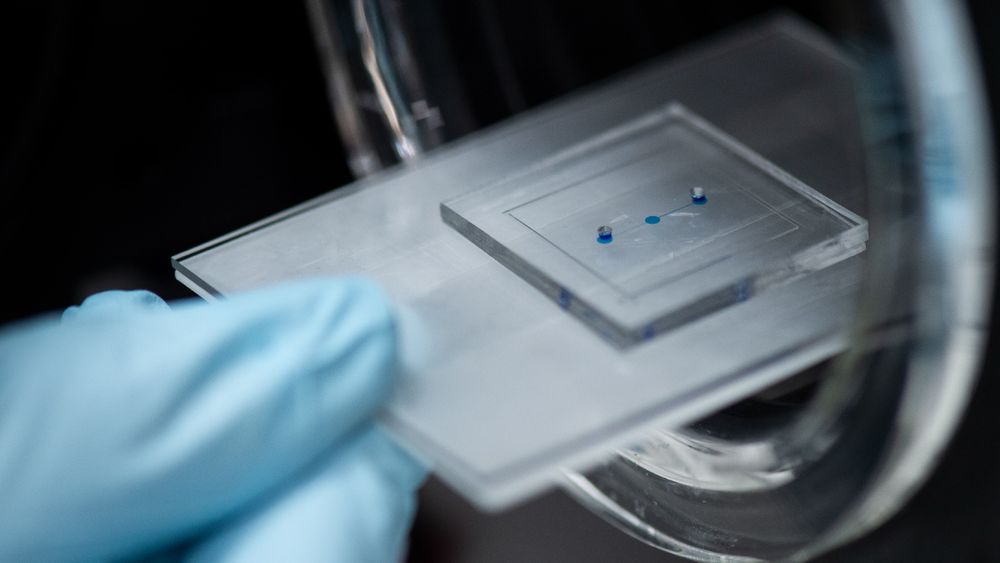 An organ-on-a-chip device being placed into the chamber of a machine.
