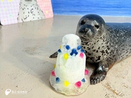 Amazon.co.jp: 海洋堂 新江ノ島水族館への誘い セブンイレブン