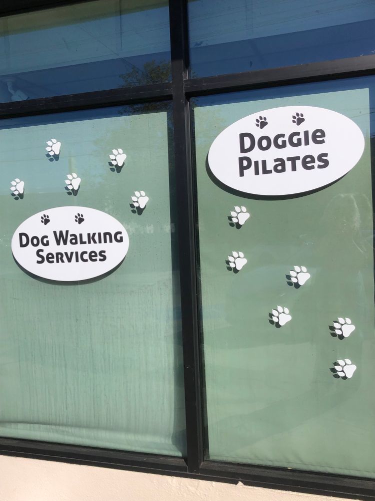 Teal-shaded window of a posh dog spa (as opposed to non-posh dog spas wtf was I thinking) one pane has a sign saying “Dog walking services” which makes sense but the other sign says “Doggie Pilates” which sounds like nonsense.