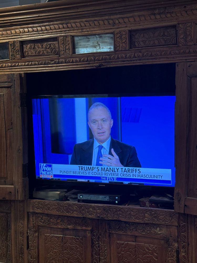 A man in a blue tie talks on Fox News before a blue background with a chyron beneath him that says “TRUMP’S MANLY TARIFFS: Pundits believe it could reverse crisis in masculinity”