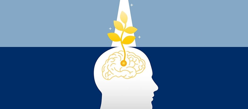 Your mindset makes all the difference. Learn the difference between the abundance vs. scarcity mindset and how to unlock your potential.