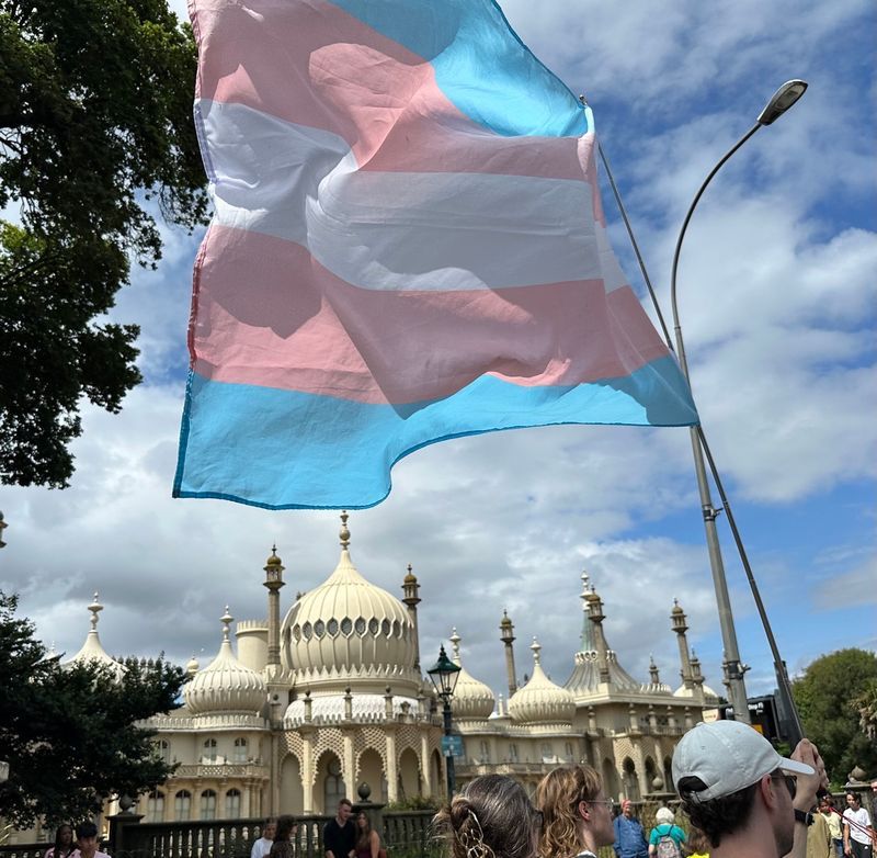 A person just ahead of me in the Trans Pride March waving the flag (blue pink white pink blue). Brighton Pavilion is below and behind it.