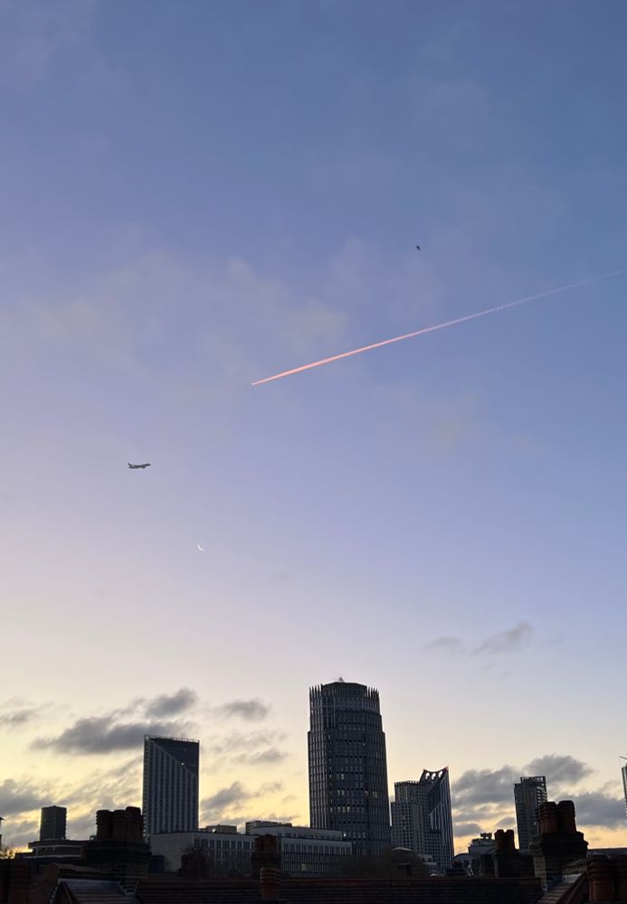 London sky at sunrise. A waning crescent moon is palely visible. A jet plane and a pink contrail cross paths above it. Above the contrail a gull can be seen in flight. 

This is all backwards of course. The gull is not above the planes. The planes are not above the Moon. 