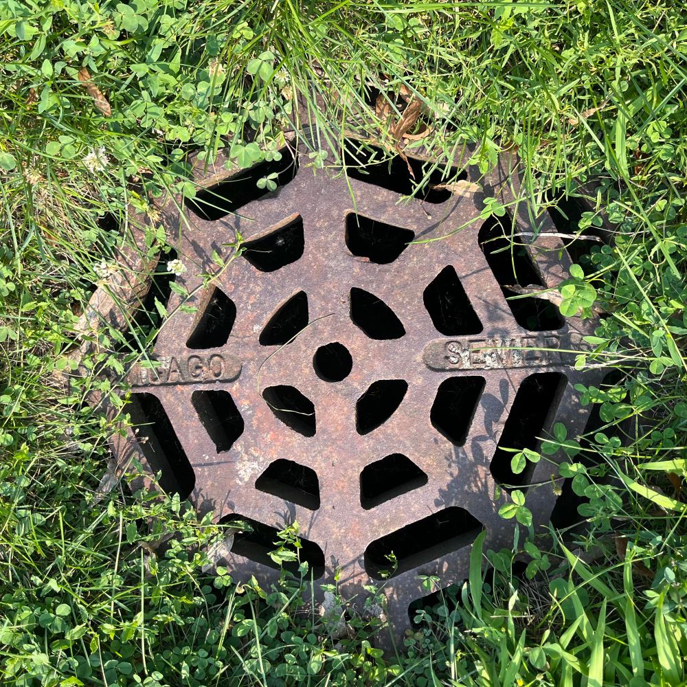 A Chicago Sewer manhole, engulfed by grass. 