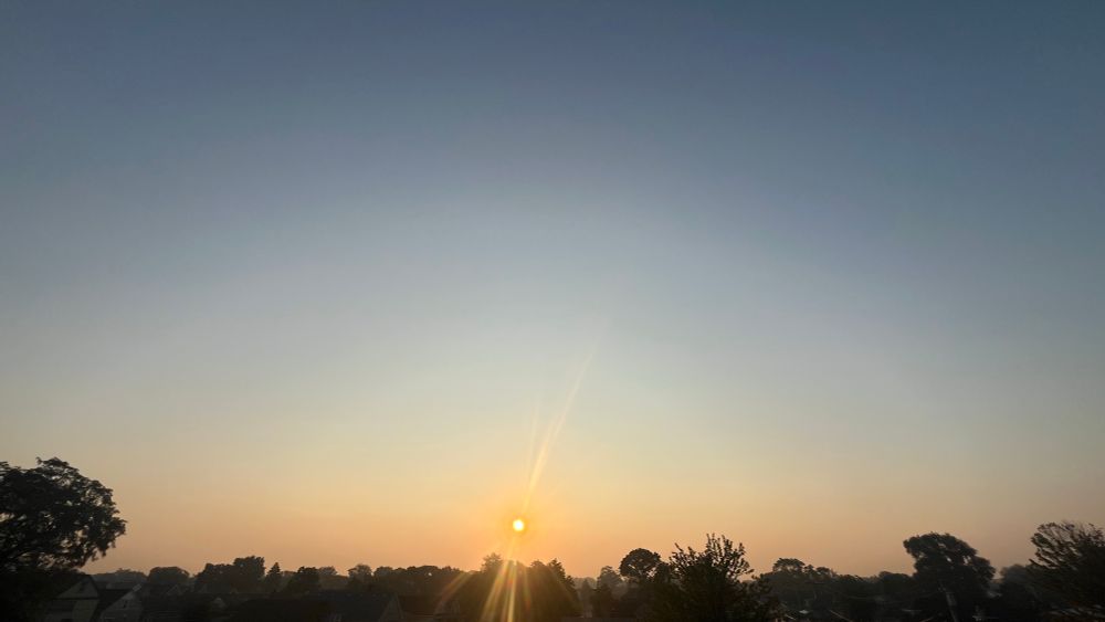 Earth’s sun rising over a horizon of treetops 