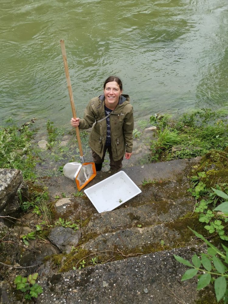 Sophie standing in the shallows at the edge of a river, looking up into the camera. I'm holding a long-handled kick-sampling net in my right hand. In front of me is a white tray that I am collecting invertebrates into to help students find study organisms.