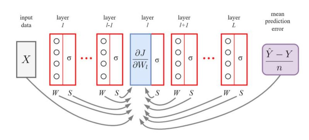 AI Advances on LinkedIn: Grokking gradients in deep neural networks