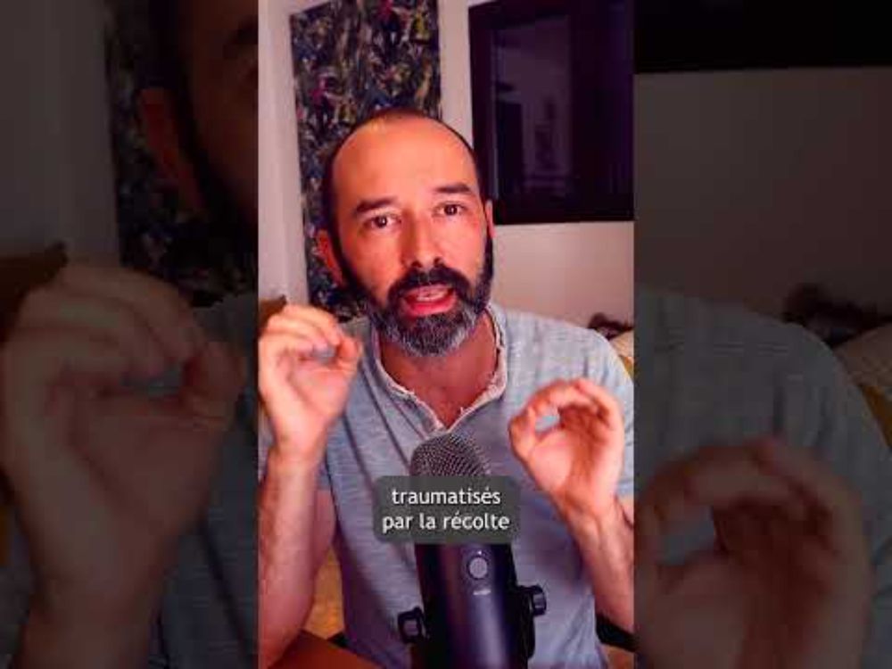L'acétamipride, une solution miracle ?