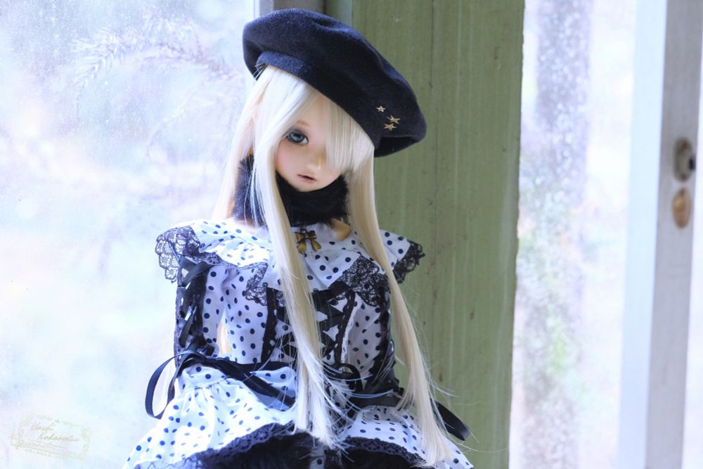 Do not reupload / Do not AI learning / Do not use for anything 2025.7.13 Hachi_Kokonotsu©