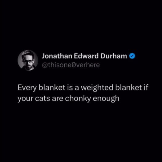 Every blanket is a weighted blanket if your cats are chonky enough