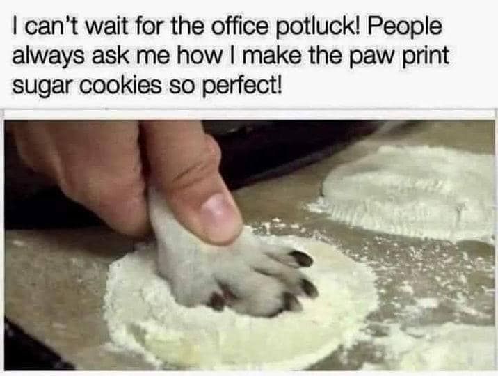 "I can't wait for the office potluck! People always ask me how I make the paw print sugar cookies for perfect!"  Image of someone pressing an actual paw into a cookie.