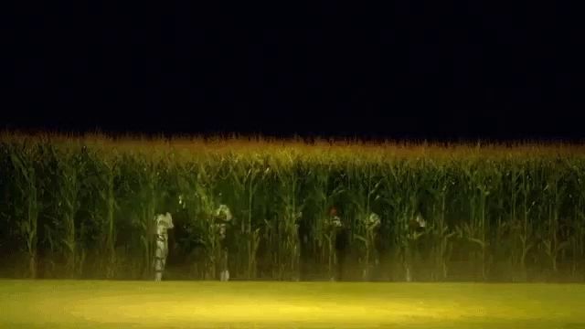 a group of people standing in a field of corn at night