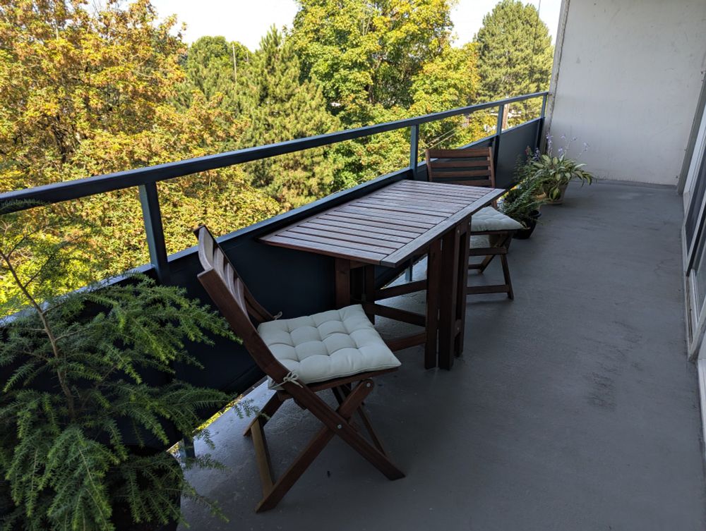 Balcony garden with potted tree, table, two chairs and small potted plants.