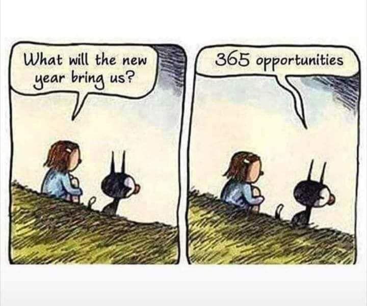 Comic (not sure of the artist, it was clipped out of the image)
First panel, a child and a cat sitting on a hillside. The child asks, "What will the new year bring us?"
Second panel, same image. Cat replies "365 opportunities."