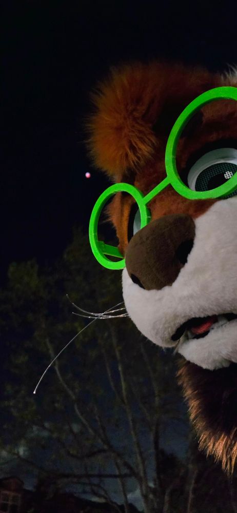 Burbley the red panda fursuiter ponders deeply while the lunar eclipse peeks through in the background sky
