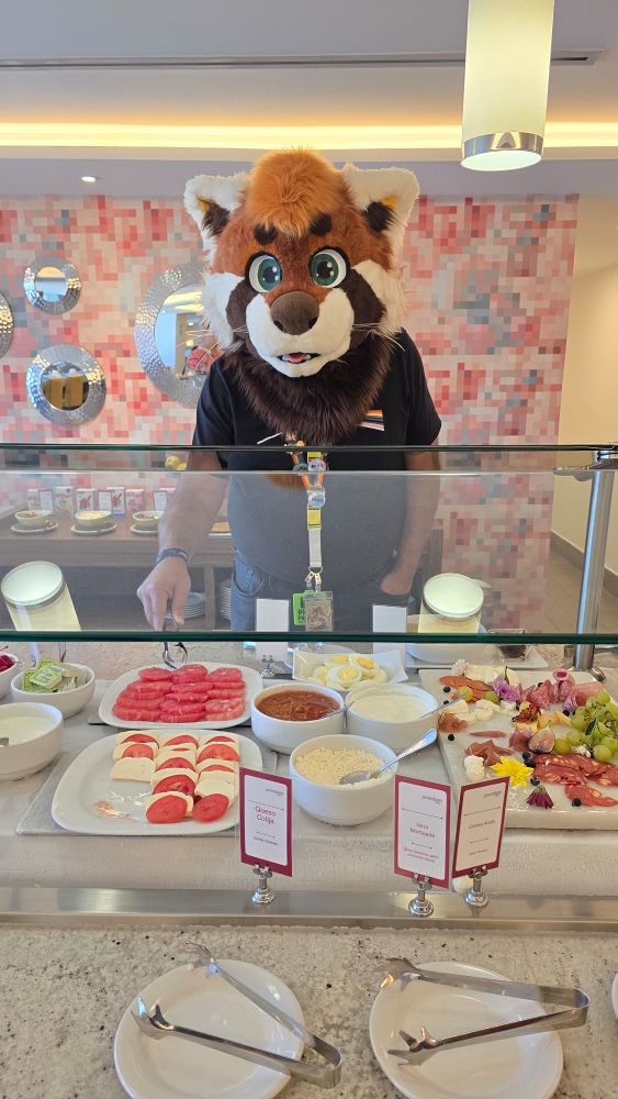 Burbley the Red Panda reaches for some grapefruit slives at a breakfast buffet