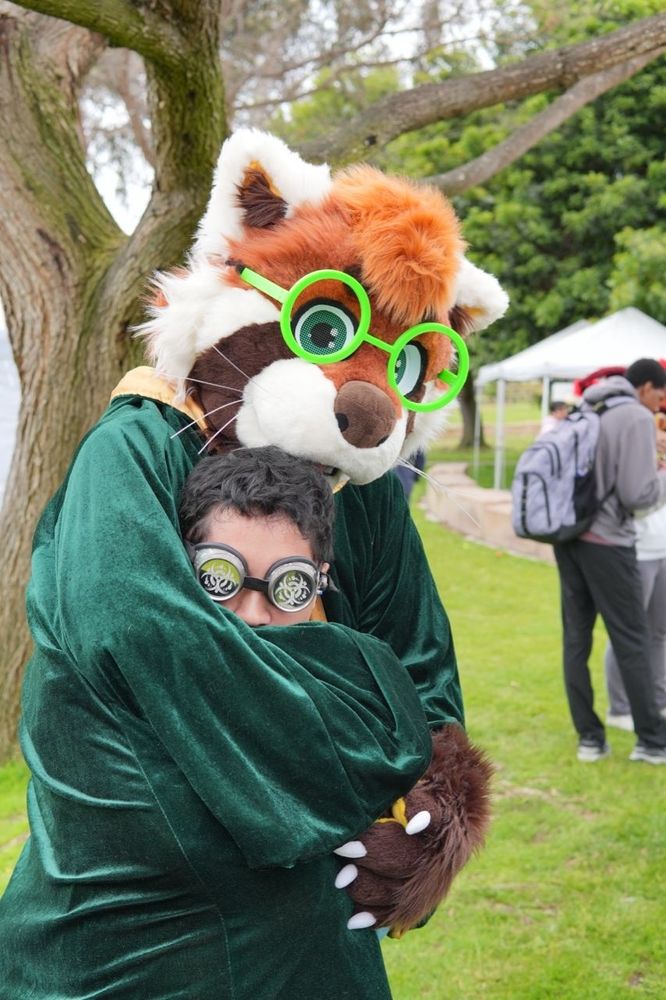 Burbley the Red Panda Wizard envelops KemonoHaru inside Burbley's Flowing green cape so that all is left visible of KemonoHaru is his head and goggles.