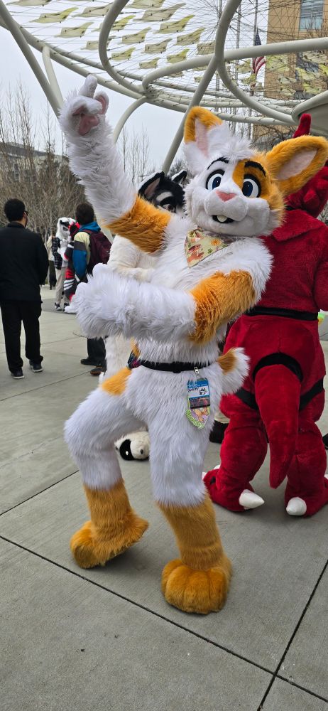 White and gold rabbit fursuiter poses ready to dance a flamenco outside a convention hall