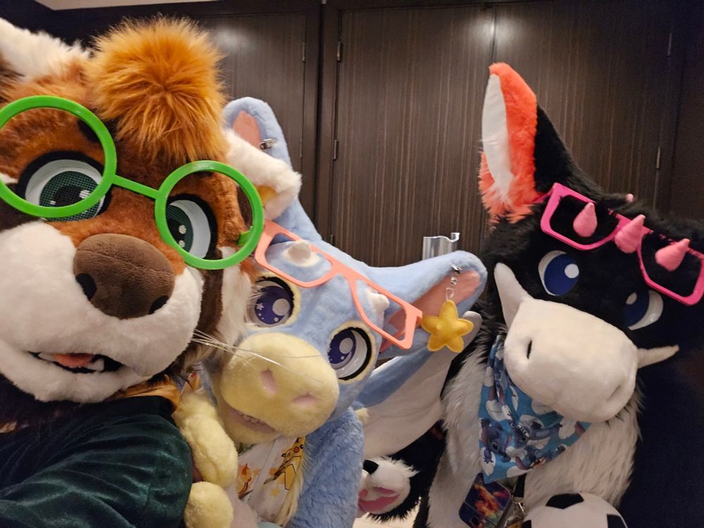 Burbley the Red Panda, Softie the Dutch Angel Dragon and Beakers the Sutch Angel Dragon clambor to get a better view of you